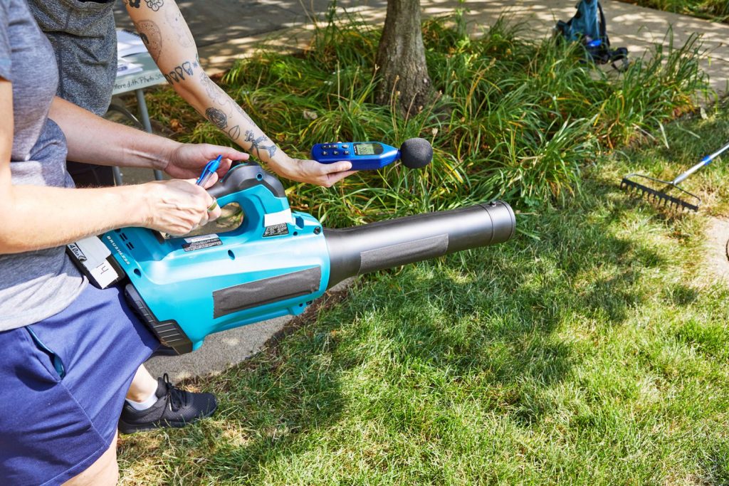 Best Cordless Leaf Blower